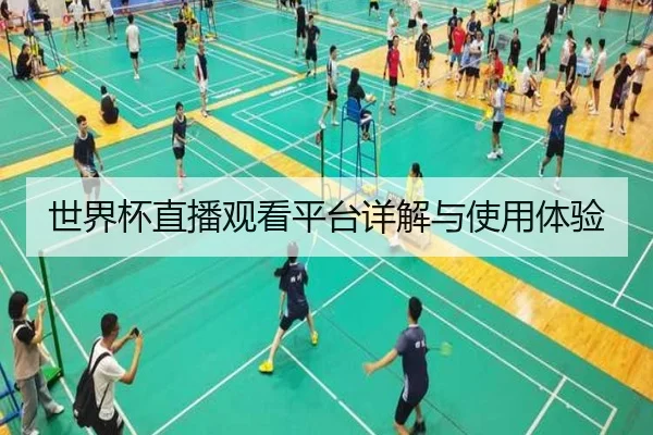 世界杯直播观看平台详解与使用体验